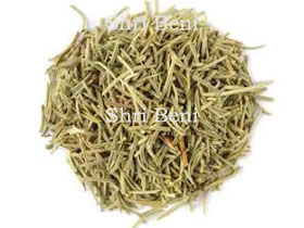 Rosemary